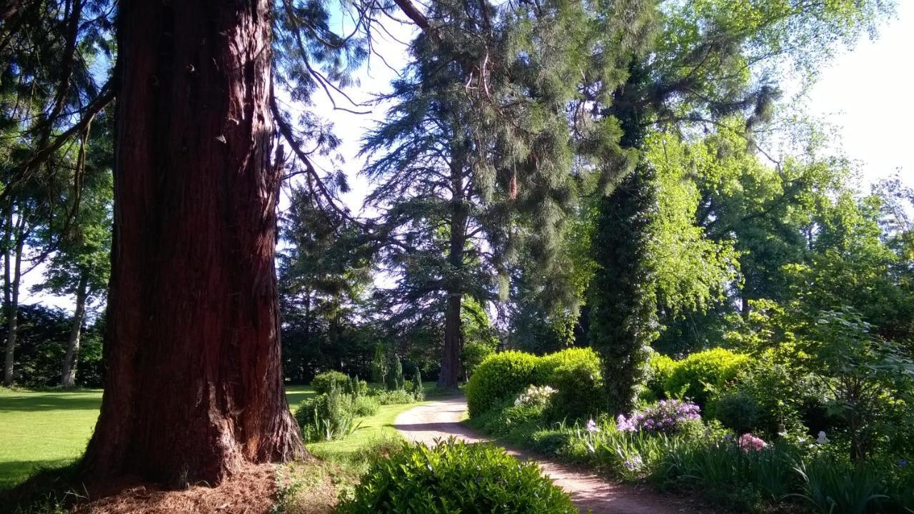 Chateau De La Vernede, La Grande Vernede Saint-Rémy-de-Chargnat Екстериор снимка