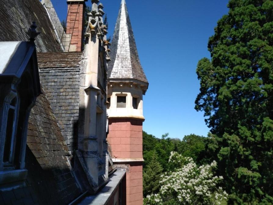 Chateau De La Vernede, La Grande Vernede Saint-Rémy-de-Chargnat Екстериор снимка